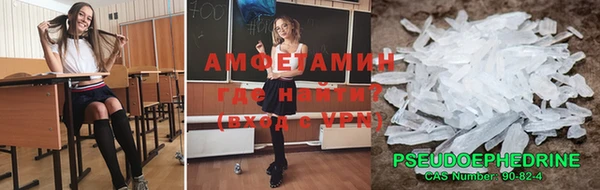 индика Надым