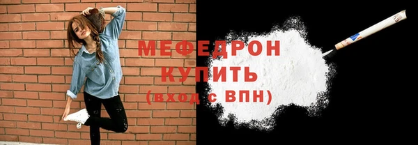 индика Надым