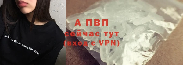 индика Надым