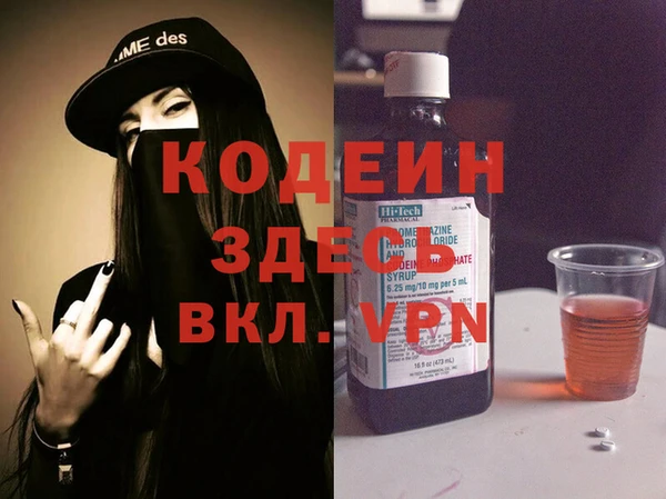 индика Надым