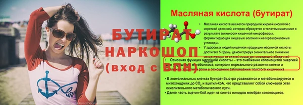 индика Надым