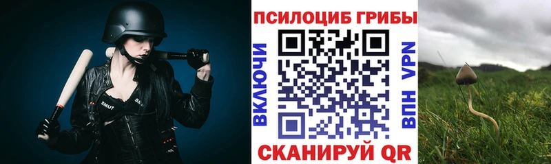 купить наркоту  Любань  Галлюциногенные грибы прущие грибы 